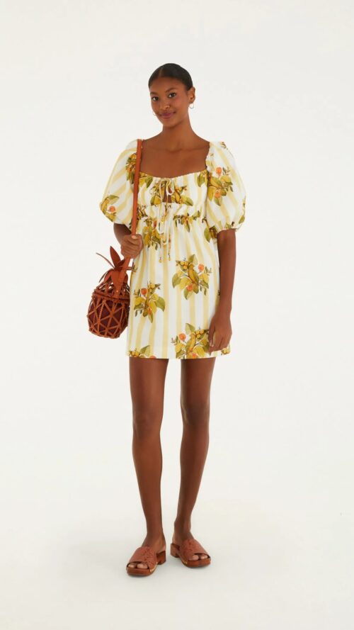 Vestido Curto Passaro Chic Farm R:347535