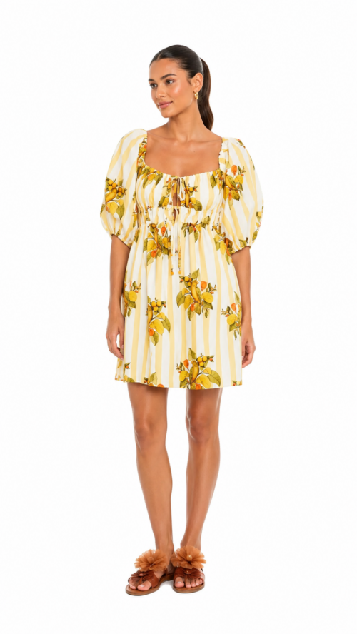 Vestido Curto Passaro Chic Farm R:347535